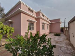 TALL Etablissement - 8