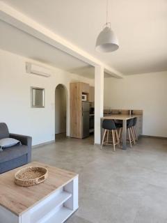 Appartement neuf au cœur de la campagne corse - Giuncheto - 6