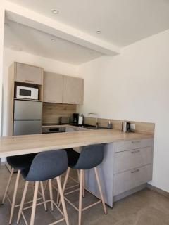 Appartement neuf au cœur de la campagne corse - Giuncheto - 2
