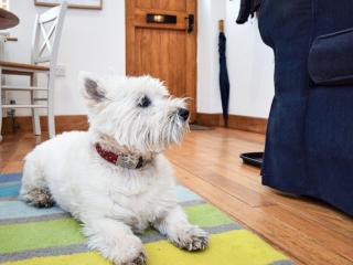 2 bed property in Appledore Devon COCKL - Appledore - 4