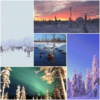 Lapland Nature and Health - Junosuando - 4