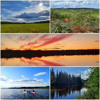 Lapland Nature and Health - Junosuando - 1