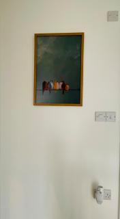 Durham Muse - 3 Bed Pet Friendly - - 4