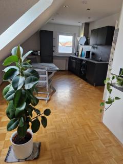 Ferienwohnung an der Ohme - Warburg - 1
