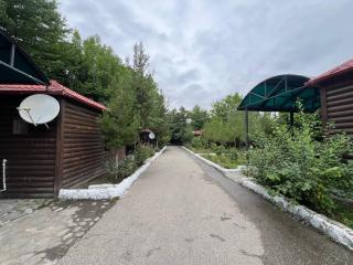 Qirmizi Qerenfil - Quba - 1