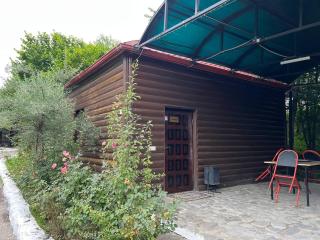 Qirmizi Qerenfil - 8