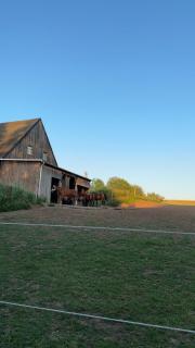 Pension Jasmin - Chemnitz - 1