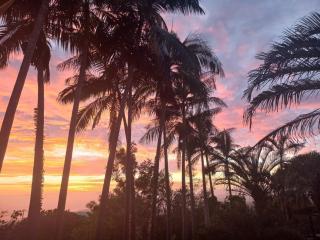 Appartement confortable avec terrasse et accès direct piscine - FR-1-786-49 - 5