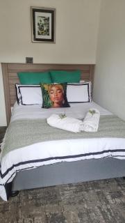 Studio apartment, water backup, 12 min from OR Tambo - Germiston - 0