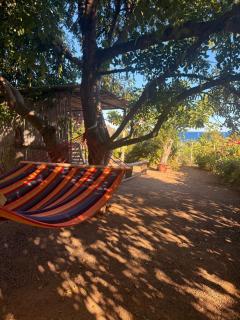 Casa Mimosa - 3