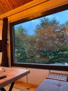 Eras Dere Tiny House - Ardeşen - 5