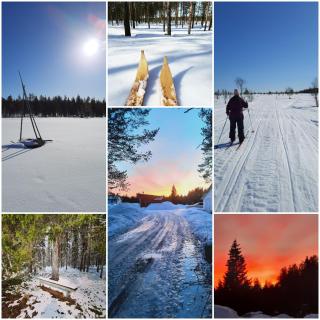 Lapland Nature and Health - Junosuando - 1