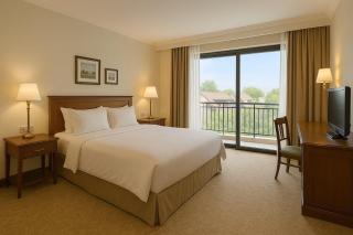 Hotel Urban Lion - IGI Airport Delhi - Neu-Delhi - 1