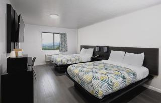 Motel 6 Dallas - Fair Park - Dallas - 5