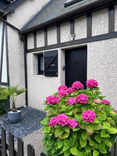 Cottage cosy avec jardin, piscine et parking - Cabourg - 8