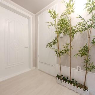 StaySolar - Seul - 3