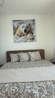 White Bear Apartment - 9