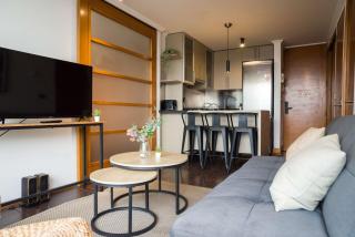 5-Guest Apt Providencia Heart of City - Santiago - 2
