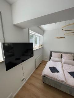 Cozy studio apartment - Neuburg an der Donau - 8