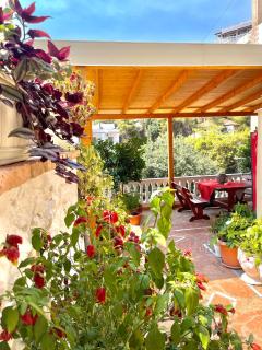 Melina Apartments - Saranda - 8