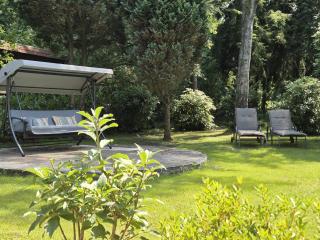 Ferienhaus im Heideparadies Handeloh-Höckel - 1