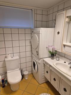 Koselig to roms leilighet - Vennesla - 1