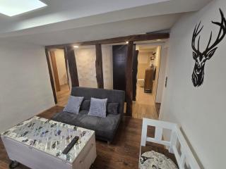 Zauberhafte Wohnung in der Nähe von Heidelberg, top Lage - Hirschhorn - 3