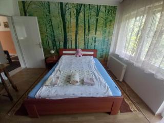 Kuća za odmor sa privatnom plažom - Foča - 4
