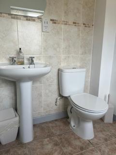 Twyngaer, a spacious 3 bedroom bungalow sleeps 5 - Knighton - 9