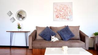 Botanic Apartment- Cozy & Comfy in Cuenca - Cuenca - 9