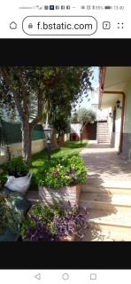 La Villa Di Salvo - Fontane Bianche - 9