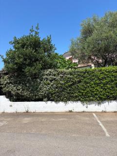 La Pavoncella - Olbia - 9