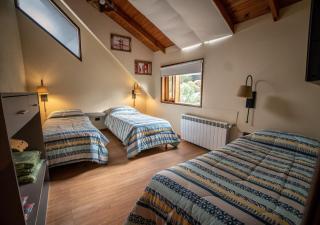 Guardianes Del Bayo - 1