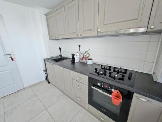 Spacious 2BR Oasis Modern Comfort & Queen Beds near Parks & Malls - Bucharest - 2