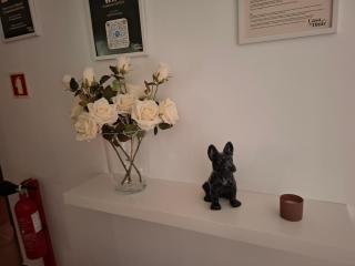 Casa do Diniz -  - 3