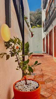Old town house rooftop & pool - Cartagena das Índias - 4