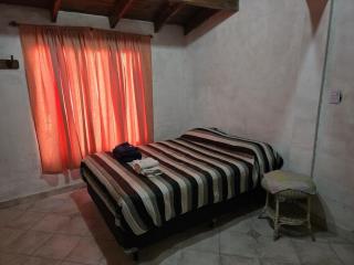 House in Plottier - Plottier - 3