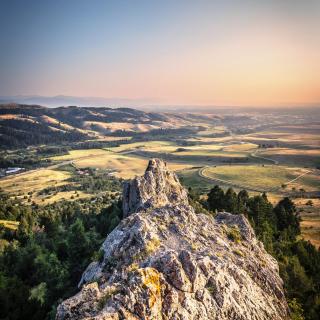 Wandering Buffalo - 3