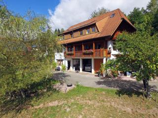 Ferienhof Bühler - Schramberg - 4