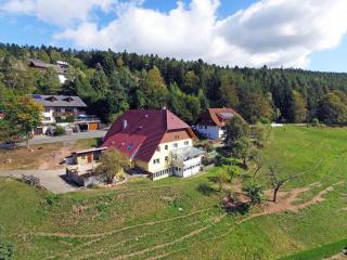 Ferienhof Bühler - Schramberg - 1