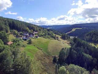 Ferienhof Bühler - Schramberg - 5