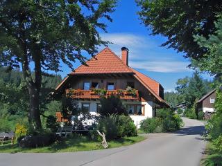 Ferienhof Bühler - Schramberg - 9
