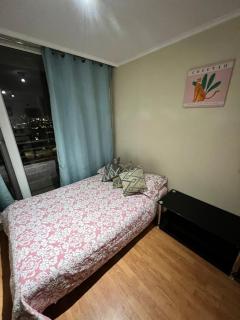 Concepción Maravilloso Departamento - Concepción - 9