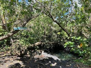 Kope Hale Coffee Farm Private Studio near Volcano Park - Pahoa - 7