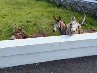 Tigh Oisin - Lettermullan - 7