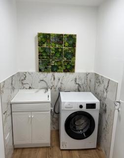 Mira Lago Loft - Desenzano del Garda - 3