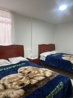 Hotel Buenos Aires - Pasto - 9