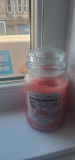 Cosy and Bright 3-bedroom flat - Glasgow - 9