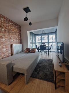 Apartament Paderewskiego Two Bedrooms Private Garage Air Condition - Rzeszów - 6