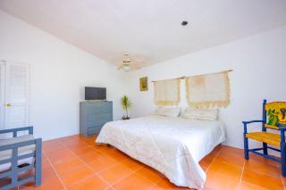NEW Bamboo Villa Palma Pool and Rest - Chiconcuac - 8